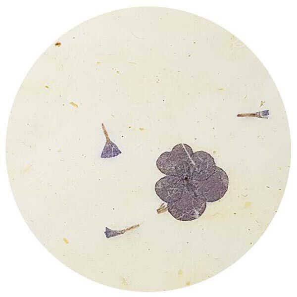 Naturpapier-Set "Paper Nature Viola", image number 3