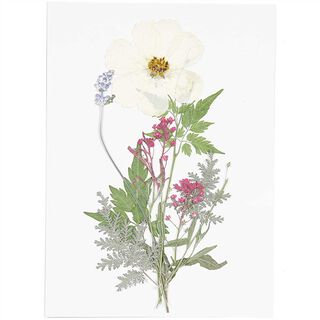 Gepresste Blüten Set [ 6 Stück ] | Rico Design – weiss/lila, 
