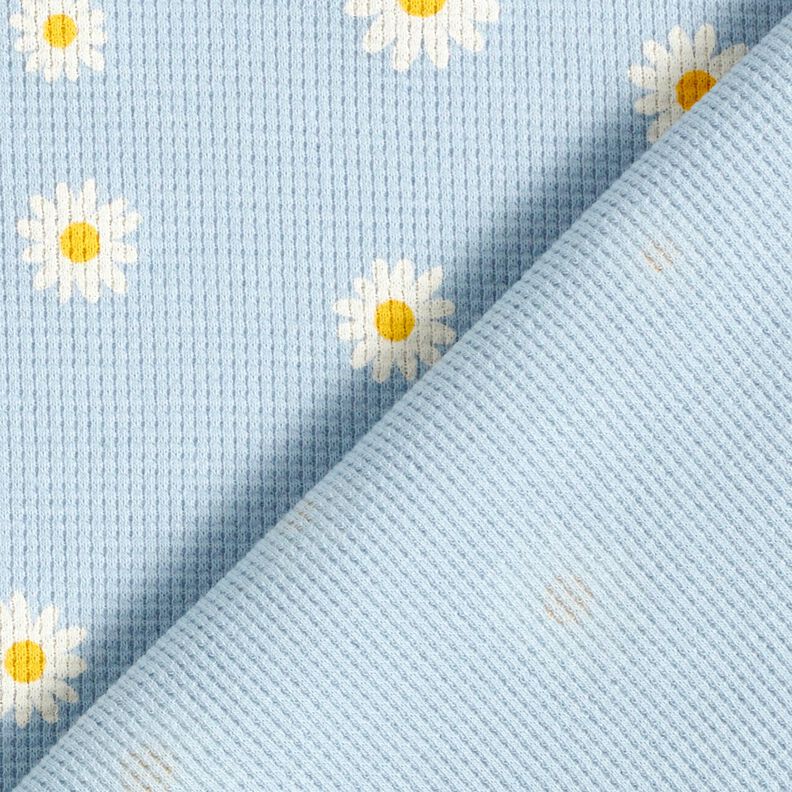 Waffeljersey Margeriten – silberblau,  image number 4