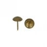 Polsternägel [ 17 mm | 50 Stk.] - altgold metallic,  thumbnail number 2