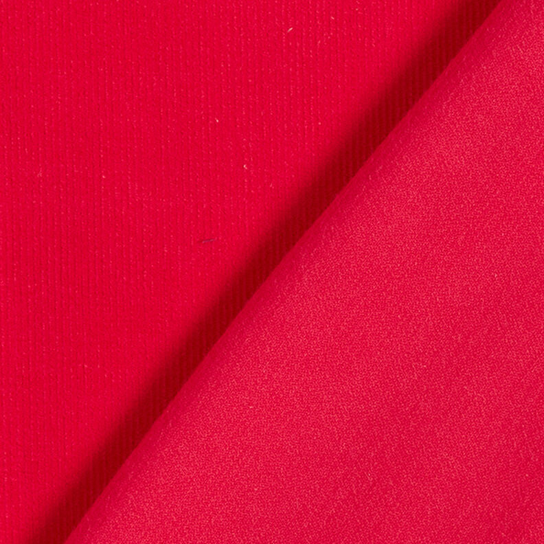 Babycord Uni – chili,  image number 4