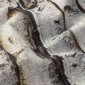 Dekostoff Halbpanama Birkenstämme – hellgrau, 