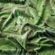 Dekosamt Premium Pflanzen Dickicht – grün,  thumbnail number 2