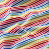 Baumwolljersey Regenbogenringel – weiss/Farbmix,  thumbnail number 2