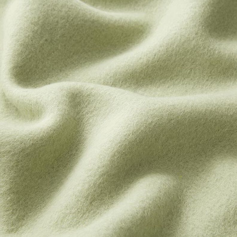 Baumwollfleece Uni – schilf,  image number 3