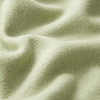 Baumwollfleece Uni – schilf, 