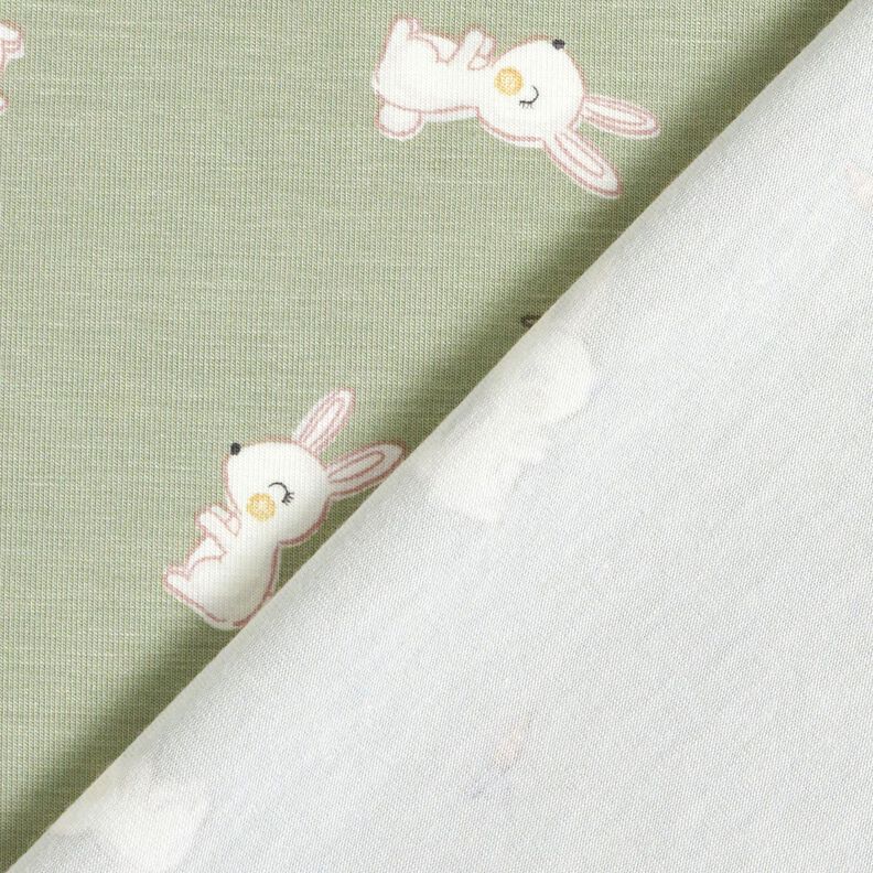 Bambus Baumwolljersey Hase und Möhre – greige, image number 4
