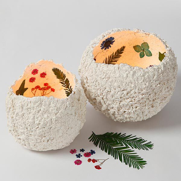 Gepresste Blüten&Blätter [19-teilig] – creme/ grün,  image number 5