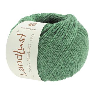LANDLUST Alpaca Merino 160, 50g | Lana Grossa – schilf, 