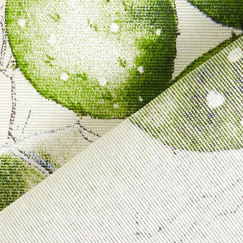 Dekostoff Canvas Kakteen – natur/grün,  image number 4