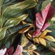 Dekostoff Gobelin Blüten – schwarz/grün,  thumbnail number 4