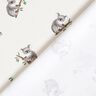 GOTS Baumwolljersey Koala Digitaldruck – elfenbein,  thumbnail number 4