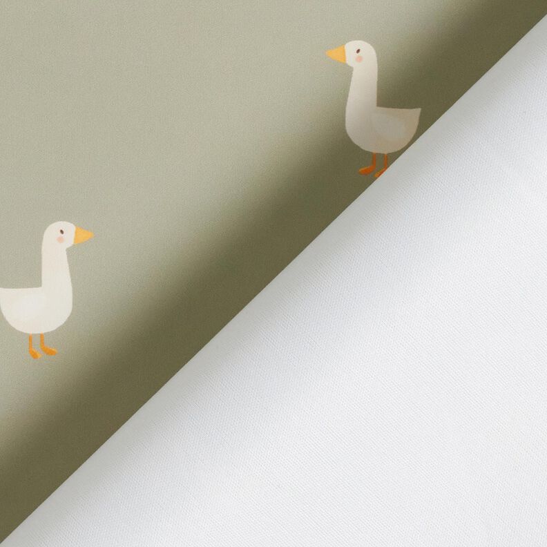 Regenjackenstoff kleine Gänse Digitaldruck – greige,  image number 5