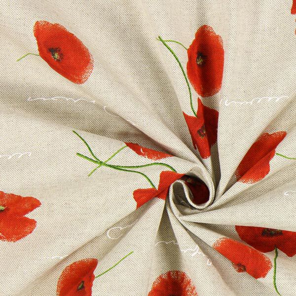 Halbpanama Mohnblume – natur,  image number 2