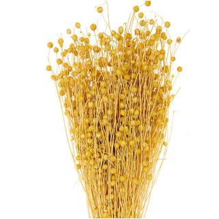 Getrockneter Flachs [ 100 g ] | Rico Design – gelb, 