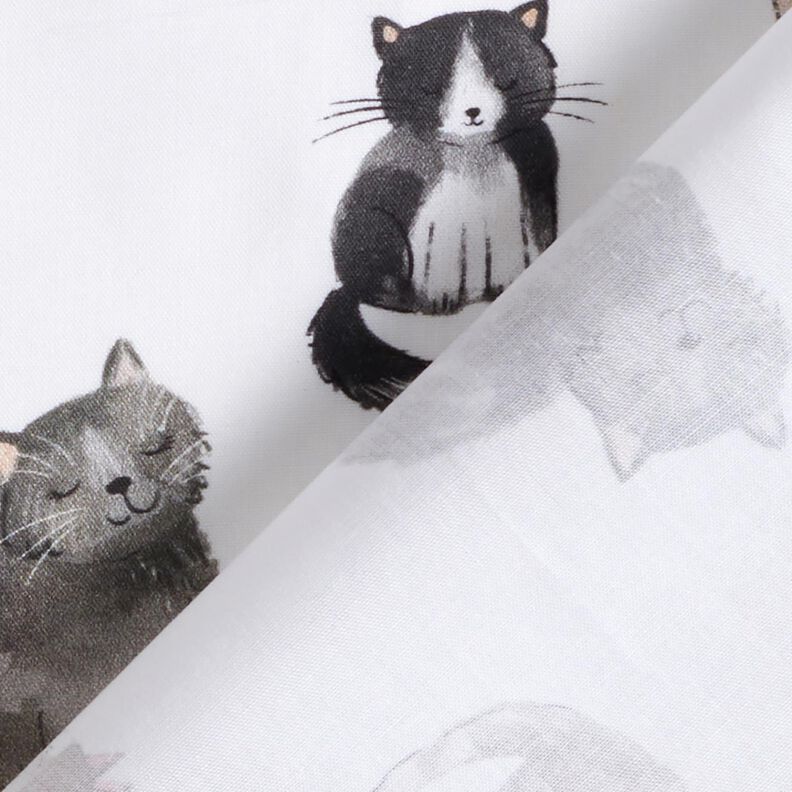 Baumwollpopeline glückliche Katzen Digitaldruck | Poppy Fabrics – weiss,  image number 4