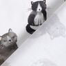 Baumwollpopeline glückliche Katzen Digitaldruck | Poppy Fabrics – weiss,  thumbnail number 4