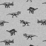 French Terry Sommersweat Dinos – silber/schwarz,  thumbnail number 1
