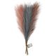 Pampasgras, 50cm [3Stk.] - blaugrau, flieder, altrosa,  thumbnail number 2