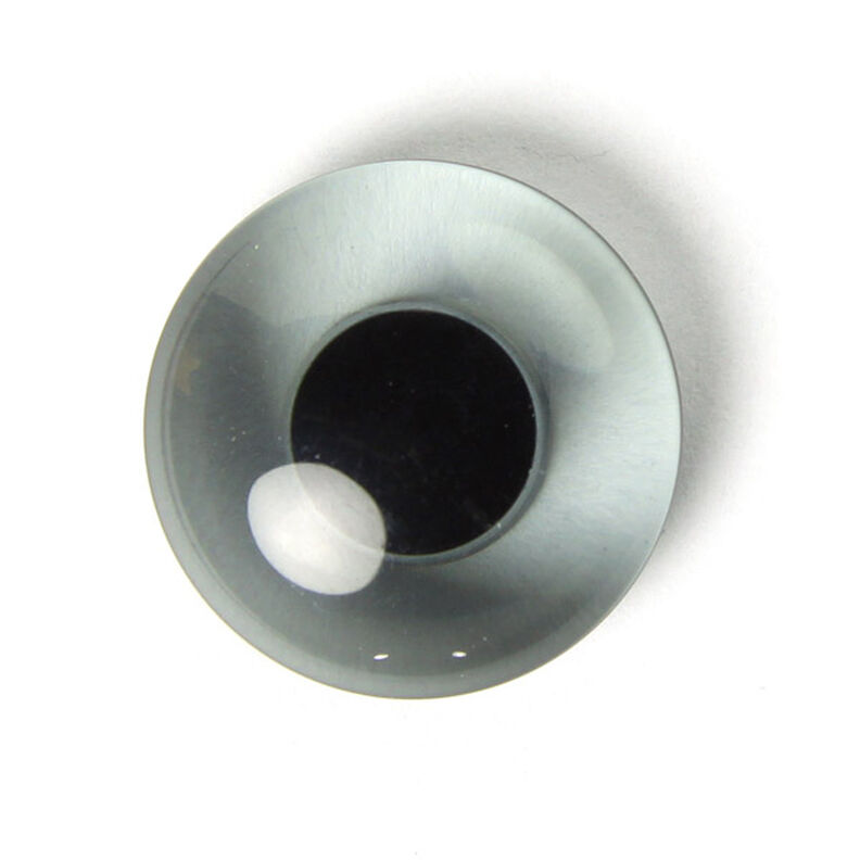 Tierauge 66,  image number 1