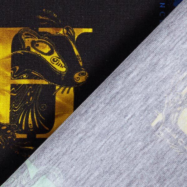 Baumwolljersey Harry Potter, Initialien und Wappentiere | Warner Bros. – schwarz, image number 4