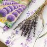Dekostoff Halbpanama Lavender-Feld – elfenbein/flieder,  thumbnail number 6