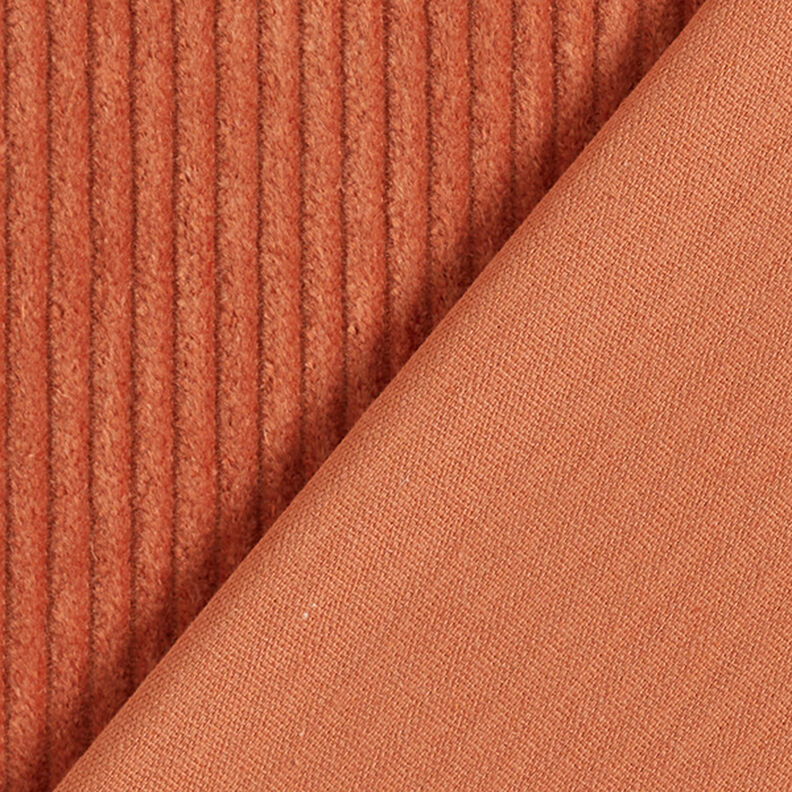 Breitcord vorgewaschen Uni – terracotta,  image number 3