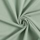 Leichter Baumwollsweat Uni – schilf,  thumbnail number 1