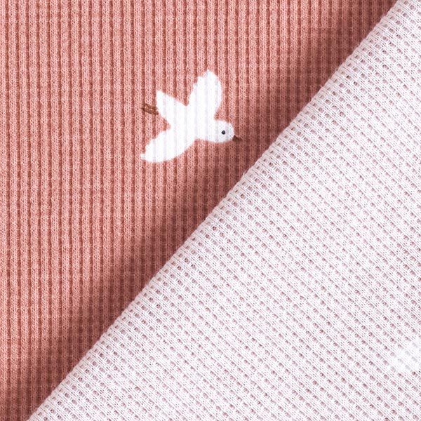 Waffeljersey Vögel – altrosa | Reststück 100cm