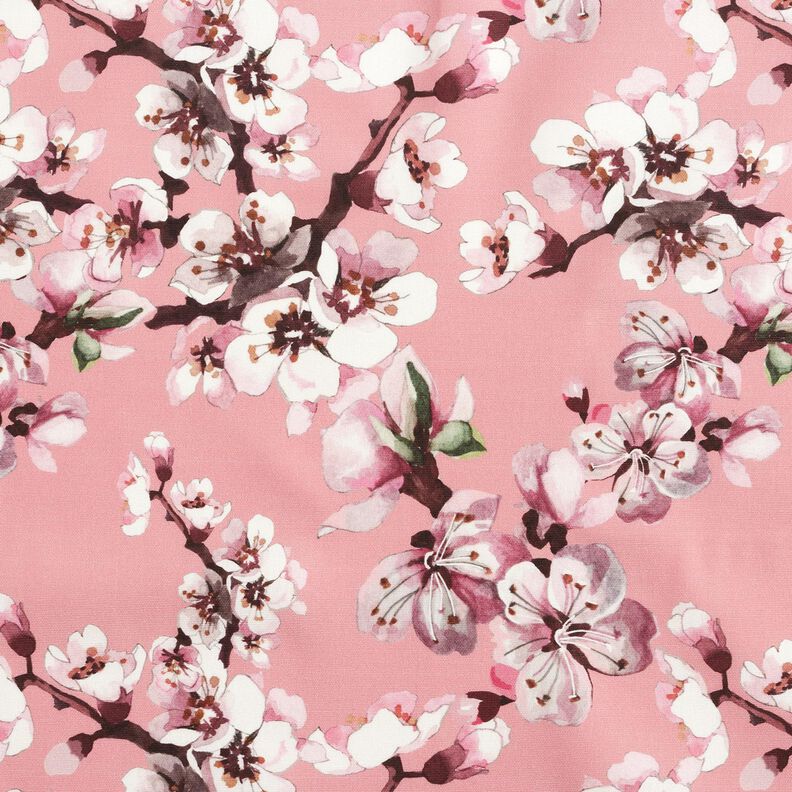 Outdoorstoff Canvas Kirschblüte – hellrosa, image number 1