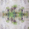 GOTS Baumwolljersey verstreutes Mosaik | TCC x LOOKS by Wolfgang Joop – apfelgrün/dunkelbeige,  thumbnail number 1