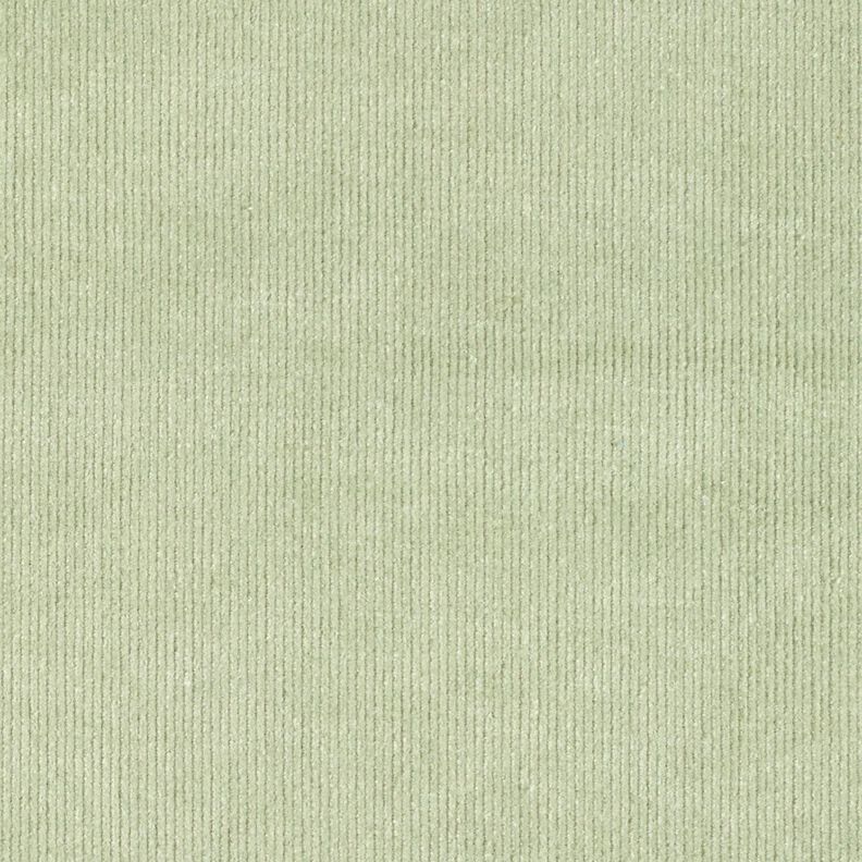 Feincord Stretch – schilf,  image number 4