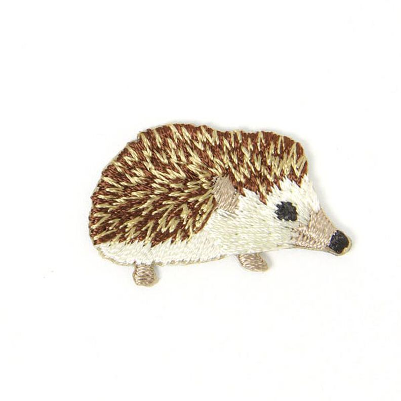 Applikation Igel,  image number 1