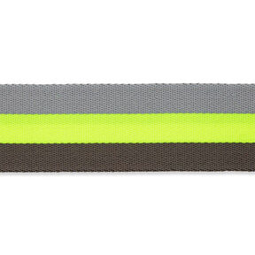 Taschengurtband Neon [ 40 mm ] – neongelb/grau, 