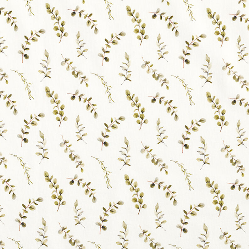 Baumwolljersey Eukalyptusranken Digitaldruck  – wollweiss,  image number 1