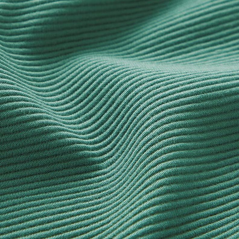 Ottoman-Rippenjersey Uni – schilf, image number 3