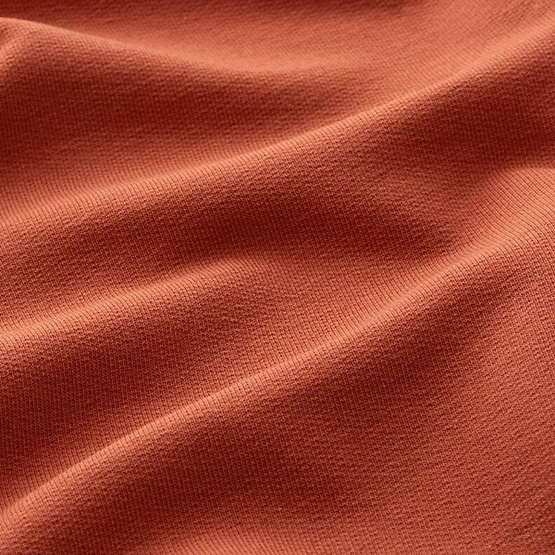 Leichter French Terry Uni – terracotta,  image number 4