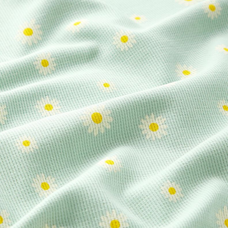 Waffeljersey Margeriten – hellmint, image number 2