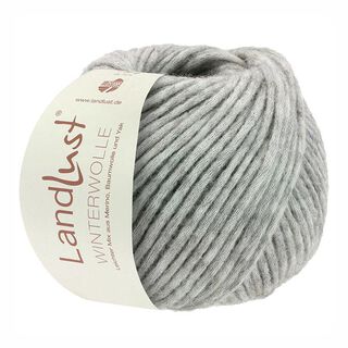 LANDLUST Winterwolle, 50g | Lana Grossa – hellgrau, 