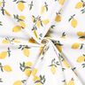 Baumwolljersey grosse Zitronen – elfenbein/gold,  thumbnail number 3