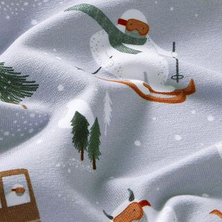 Bio French Terry Yetis fahren Ski Digitaldruck – silbergrau, 