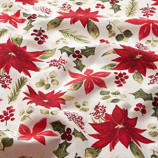Dekostoff Canvas Christstern-Blüten – wollweiss/karminrot | Reststück 100cm