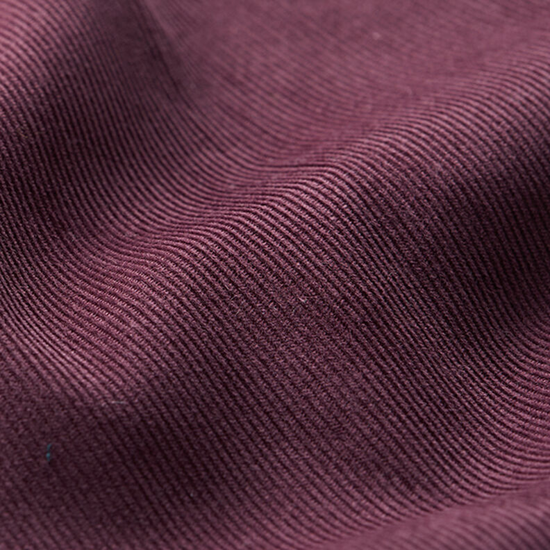 Babycord Uni – aubergine,  image number 3