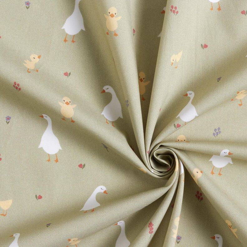 GOTS Baumwollpopeline süße Gänse und Küken | Poppy Fabrics – greige,  image number 3