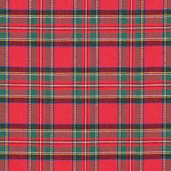 Baumwollflanell Schottenkaro Glenside – rot,  image number 1
