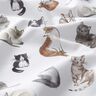 Baumwollpopeline glückliche Katzen Digitaldruck | Poppy Fabrics – weiss,  thumbnail number 2