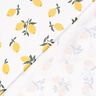 Baumwolljersey grosse Zitronen – elfenbein/gold,  thumbnail number 4