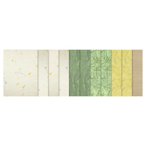 Naturpapier-Set "Paper Nature Daisy", image number 5