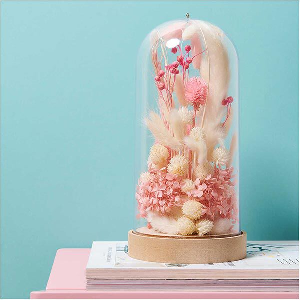 Getrockneter Lagurus [ 50 Stück ] | Rico Design – pink,  image number 3