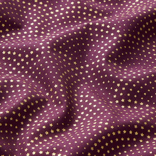 Baumwollstoff Popeline Sternenbögen – aubergine/gold, 